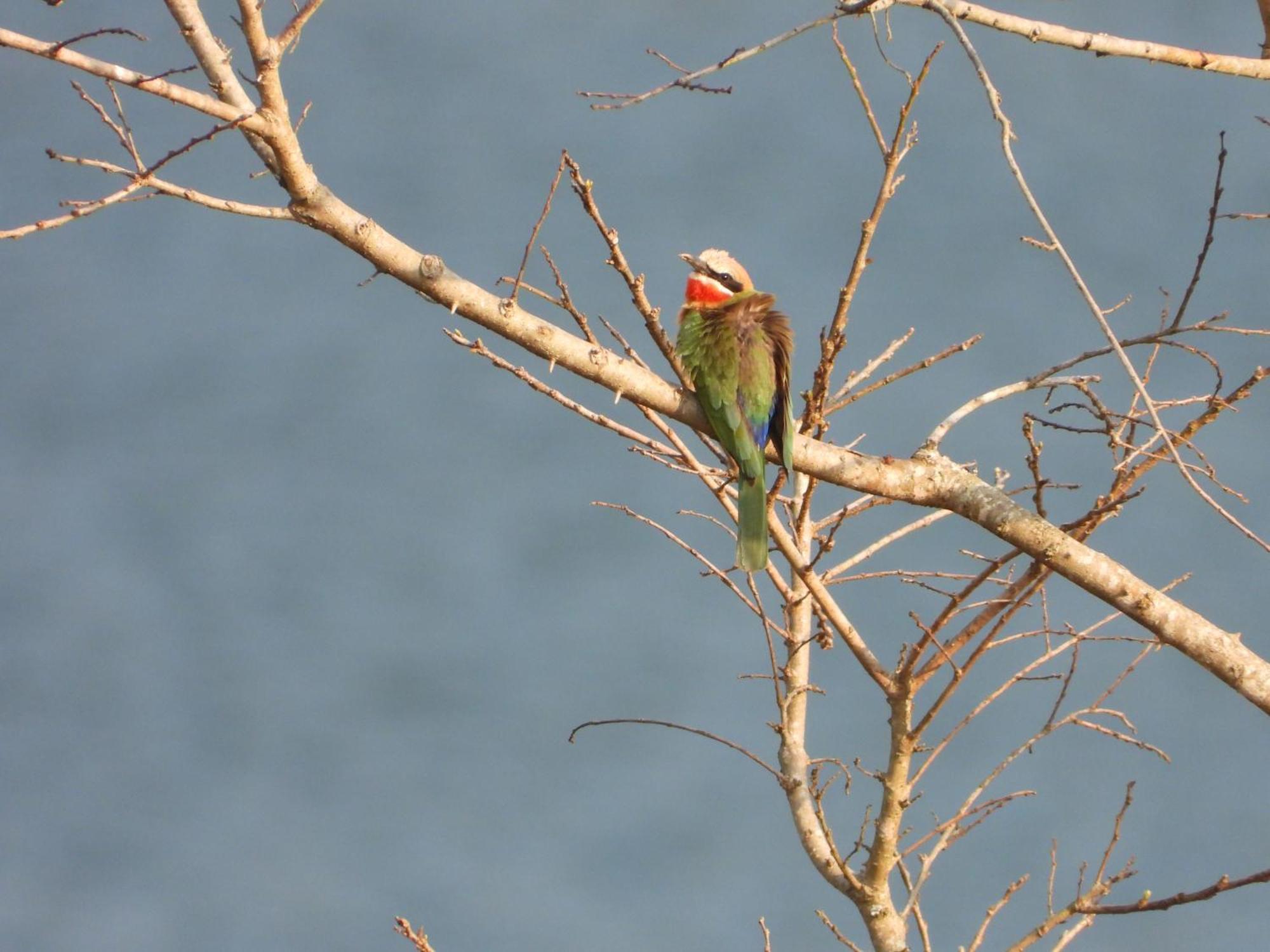 Dagama Dam - White River - Kestrel - House 21 Extérieur photo